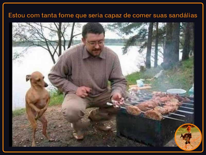 Humor-Discreto-Blog-800x600-02 homem assando carne, cão olhando